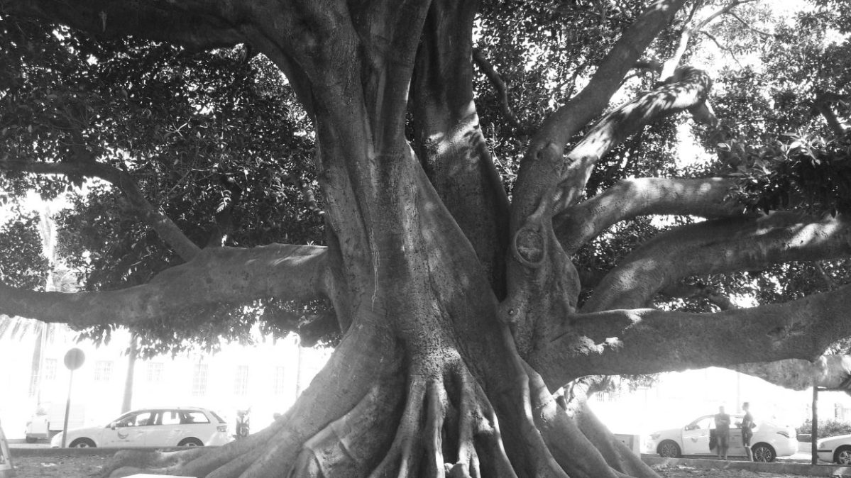 Achte gut auf diesen&nbsp;Tag…